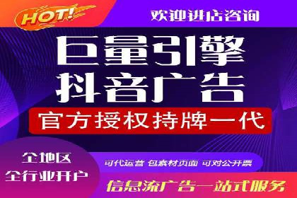 谷歌竞价广告在电商行业的运用案例